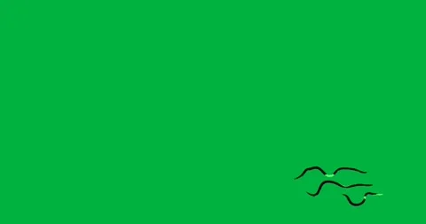 Green squiggle appearing undulating then lower strokes flashing on clear canvas Stock Footage 317284495
