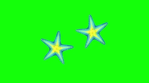 Green Star and Screen on Green Screen Background Horizontal 16:9 動画素材 339332738