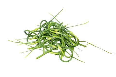 Green stem of garlic. Stock Photos