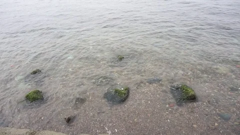 Green stone Vídeo Stock 91873877