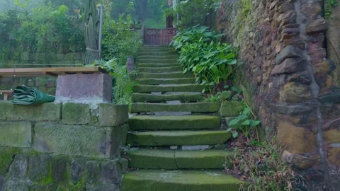 Green stone steps leading to a small wooden door. Stock Footage 329144333