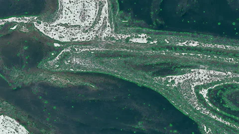 Green Stop Motion Animation of Liquid Wallpaper Abstract Background Stock Footage 111957548