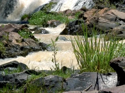 Green Stream Stock Footage 490123