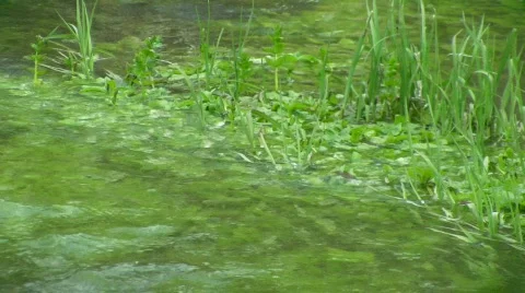 Green stream, sound Video stock 378141