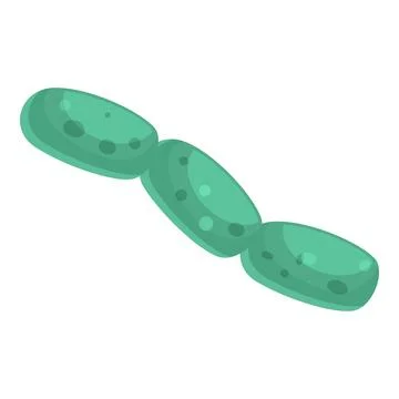 Green streptococcus bacteria forming a chain through cell division Stock Illustration