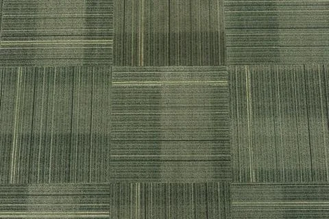 Green striped carpet texture close up view of patterned floor covering Stock Illustration
