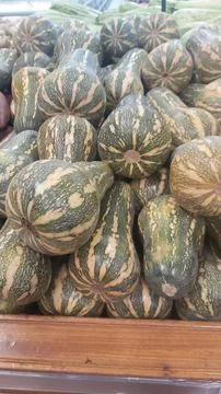 Green striped pumpkins Foto stock