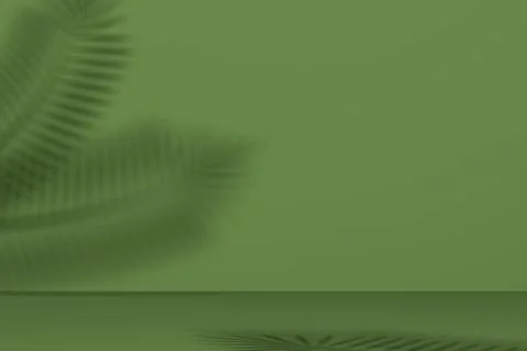 Green studio background with palm leaf shadow. 3d rendering Stock Illustration