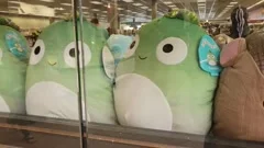 Green Stuffed Animals, Stock Video