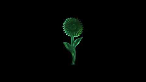Green stylized flower rotating on black background Stock Footage 314731746