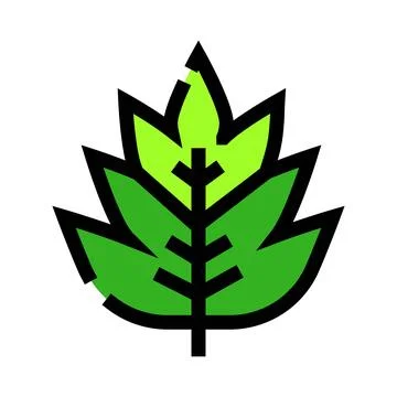 Green stylized leaf representing plant and nature icon Stock Illustration