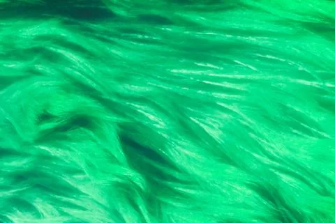 Green submerged plants ackground pattern texture Foto stock
