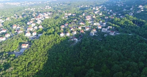 Green suburbs aerial daytime Stock Footage