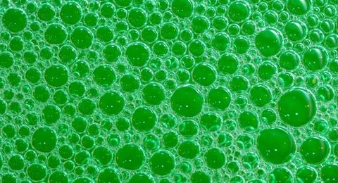 Green suds Fotos Stock