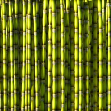 Green sugar cane. Stock Illustration