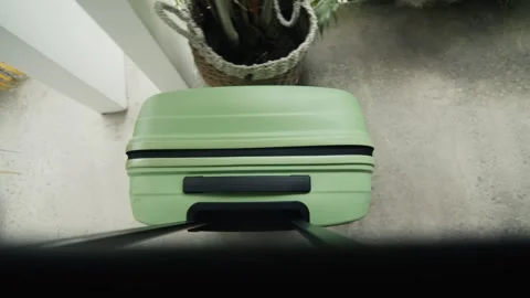 Green suitcase rolling on wheels by tropical plants Stock Footage 301586703