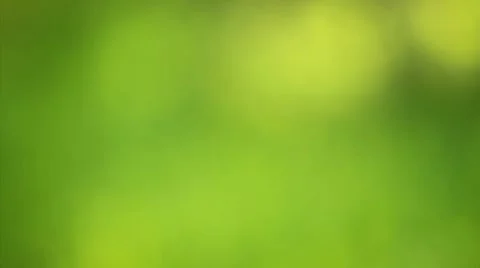 Green summer background Stock Footage 10568095