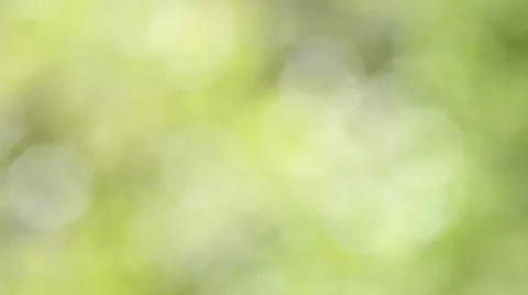 Green summer background Stock Footage 10572426