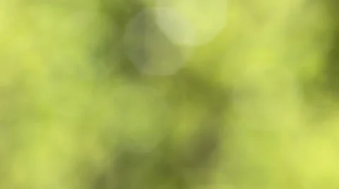 Green summer background Stock Footage 10573025