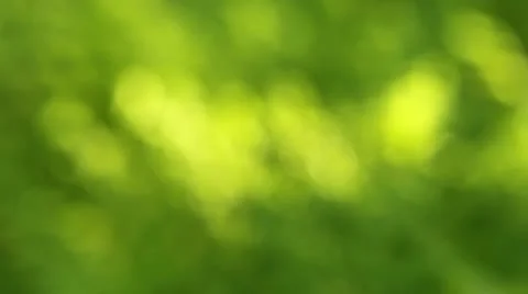 Green summer background Stock Footage 10573203