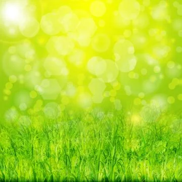 Green summer background with grass Stock Illustration
