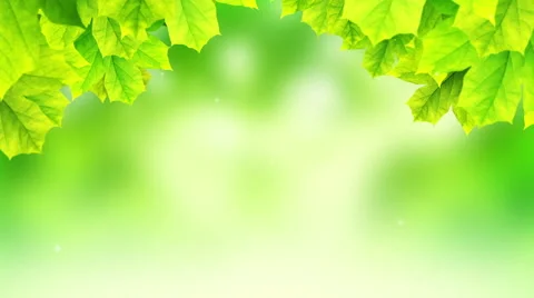 Green Summer background-HD Stock Footage 41390548