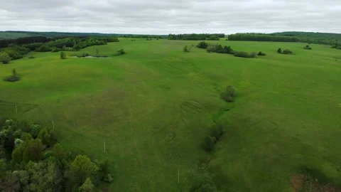 Green summer field with a forest view from the quadcopter. Beautiful landscape Stock Footage 131112425