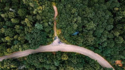 Green summer forest and the intersection of a dirt road, footage taken from the Stock Photos