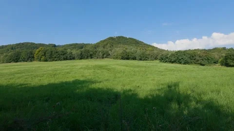 Green summer meadow grass macro wide cuntryside field round hill Stock Footage 163651260