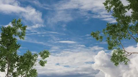 Green summer or spring leaves, tree branch over blue sky with clouds backgrou Stock Illustration