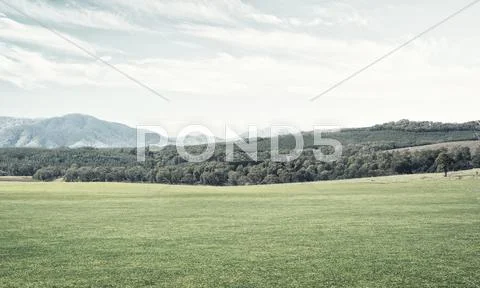 Green summer paradise Stock Photos