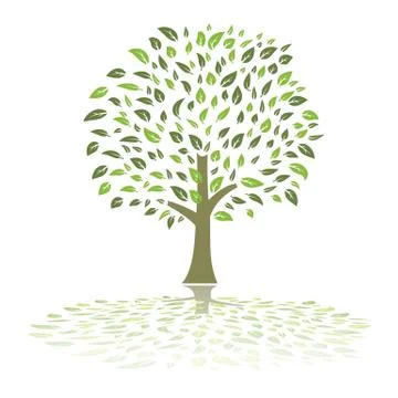 Green summer tree vector Stock Illustration