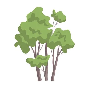 Green summer trees from park or garden, thickets from group of plants Stock Illustration