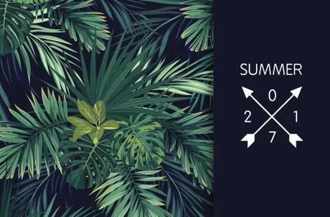Green summer tropical flyer or banner design with exotic palm leaves and plants Stock Illustration