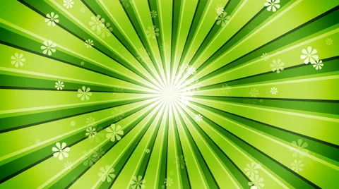 Green Sun Burst Flowers Stockbeeldmateriaal 40891625