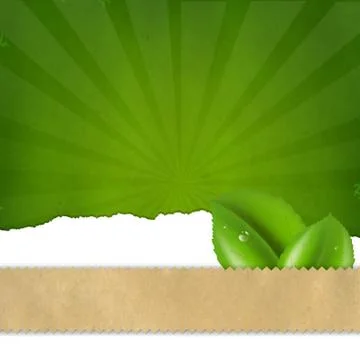 Green sunburst background texture Illustrazione stock