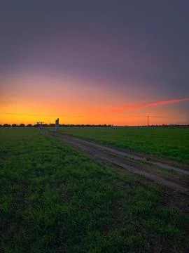 Green Sunset Stock Photos