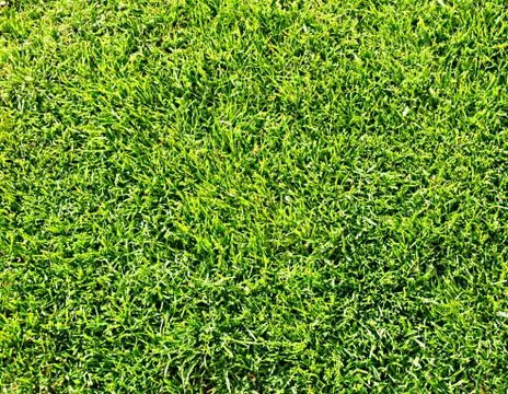 Green surface Stock Photos