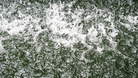 The green surface of the water rippled and splashing Stock Footage 224233718