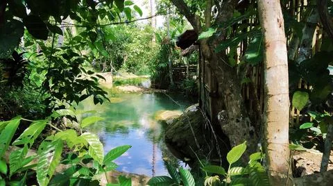 Green Surrounding Stock Photos