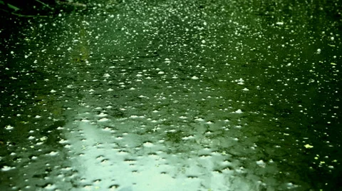 Green Swamp Water Видео 39558341