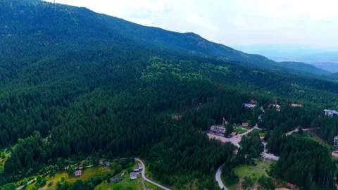 Green Symphony From Above Stock Footage 313362986