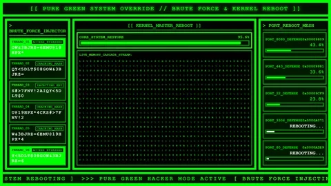 Green System Override Brute Force Terminal. Stock Footage 346670711