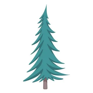Green tall pine tree, evergreen plant from park, forest or garden Ilustração Stock
