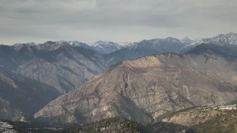 Green tall pine tree forest on snow ice covered mountain. aerial drone shot v Video stock 157755196