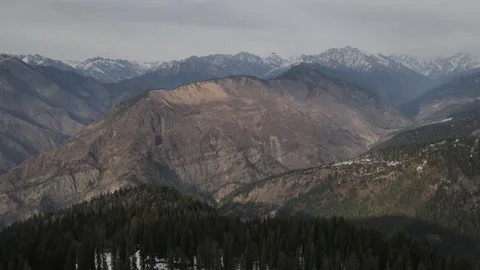 Green tall pine tree forest on snow ice covered mountain. aerial drone shot Video stock 157755272
