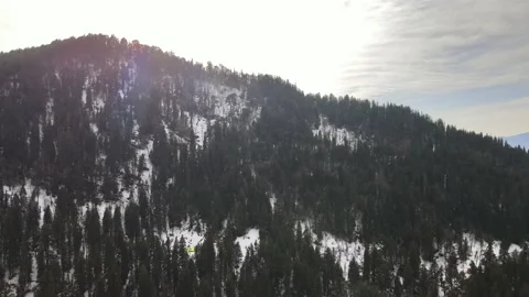 Green tall pine tree forest on snow ice covered mountain. aerial drone shot Stock Footage 157755417
