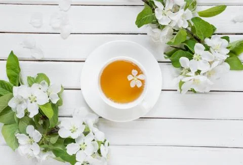 Green tea and apple-tree flowers Stock Photos