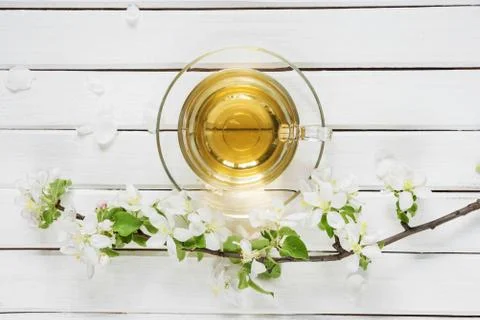 Green tea and apple-tree flowers Stock Photos