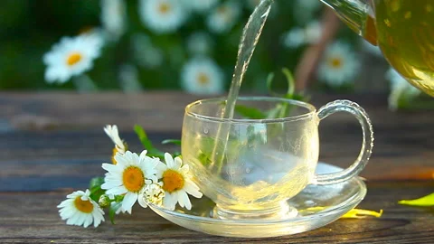 Green tea with chamomile in cup Stock Footage 122399438